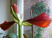 P1030241.webp