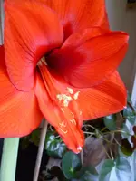 P1030243.webp