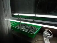 DSCF7079.webp