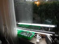 DSCF7081.webp