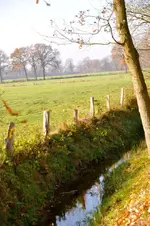schön24.webp