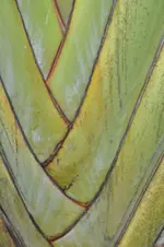 schön3.webp