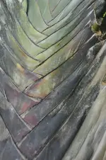 schön7.webp