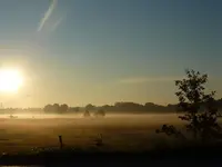 schön21.webp