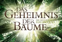 das_Geheimnis_der_Baeume.webp