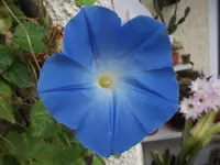 DSCF0765.webp