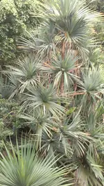282.webp