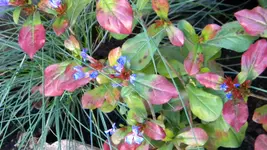 DSCN3928.webp