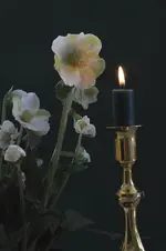 Blüten6.webp