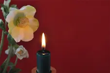 Blüten7.webp