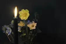 Blüten9.webp