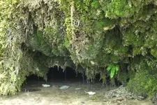 2012_0916Sommer0037.webp