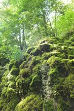 2012_0916Sommer0038.webp