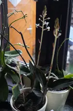 _DSC4368.webp