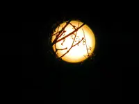 Vollmond_0008.webp