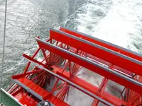 Schlei5.webp