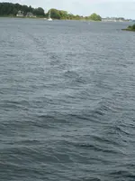 Schlei25.webp