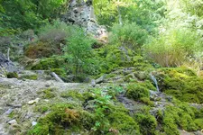 Gütersteiner wasserfälle.webp