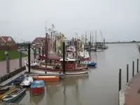 040.webp