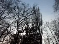 SAM_2801.webp