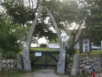 009.webp