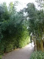 Abo19.webp