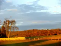 Abendstunde_0009.webp