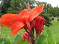 075.webp
