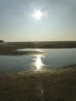 st11.webp