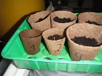 DSCF7085.webp