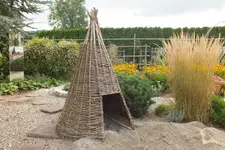 tipi.webp