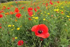 2013_0826Sommer0012.webp