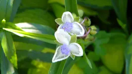 DSCN3222.webp