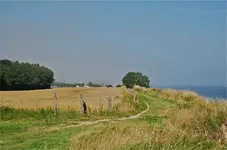 See24.webp