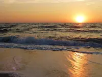 See15.webp