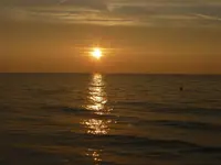 See16.webp
