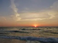 See13.webp