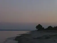 See21.webp