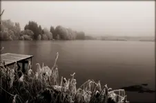 ganzneu.webp