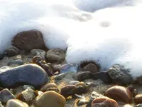 See9.webp