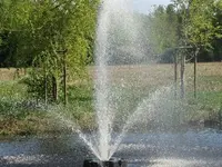 Bild 329.webp