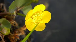 DSCN2056.webp