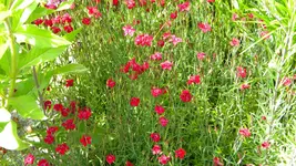 DSCN4895.webp