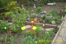 JD500080.webp