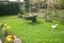JD500083.webp