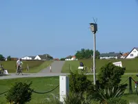 P1050991_600_450.webp