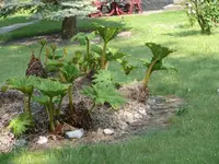 P1060068_600_450.webp
