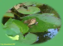 Herr Örkel.webp
