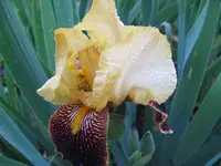 IMG_rot-gelb_1024x768.webp