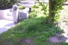 100_1348.webp